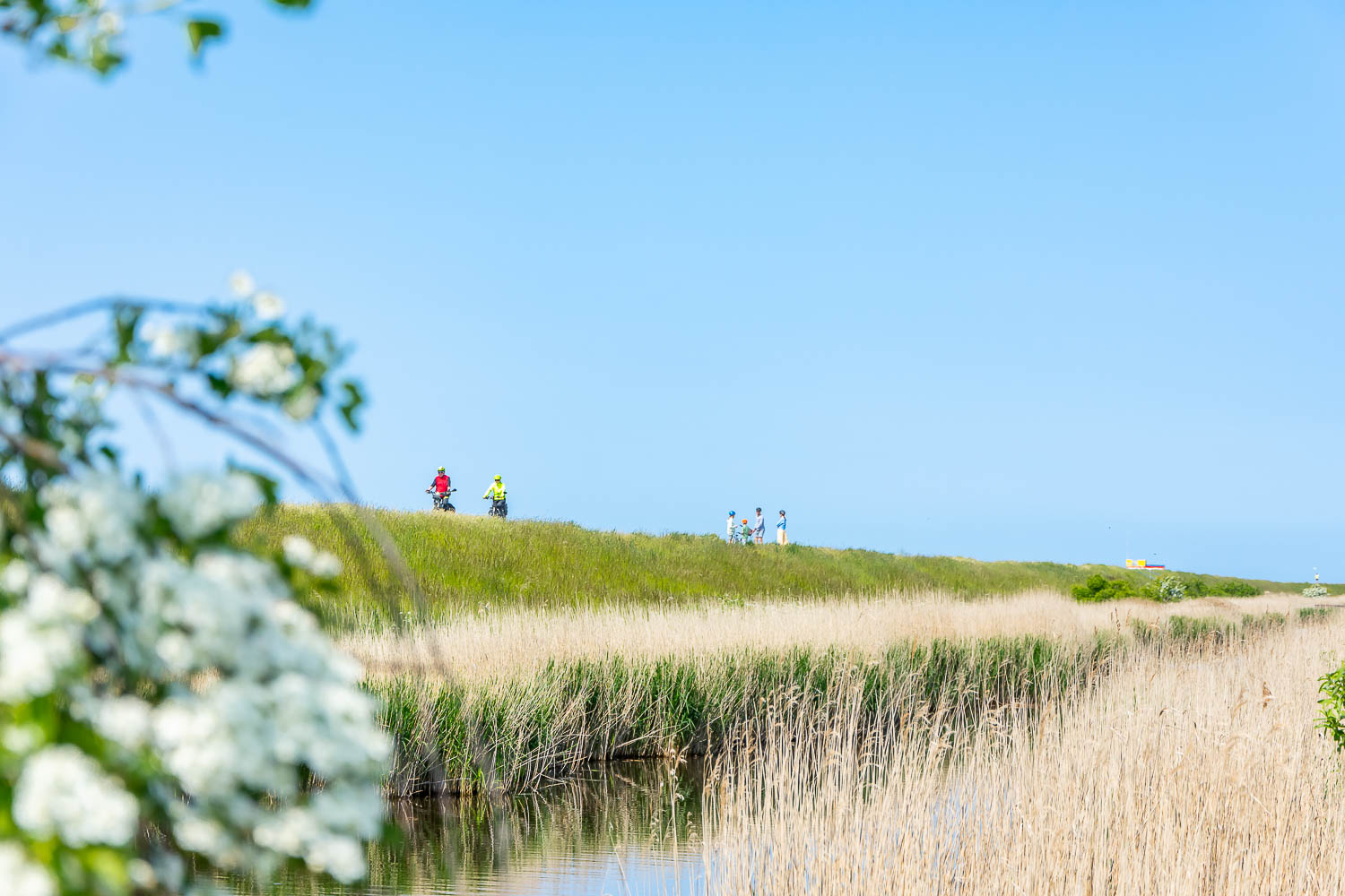 Stark Immobilien Hamburg Fehmarn Fußläufig vom Bojendorfer-Strand