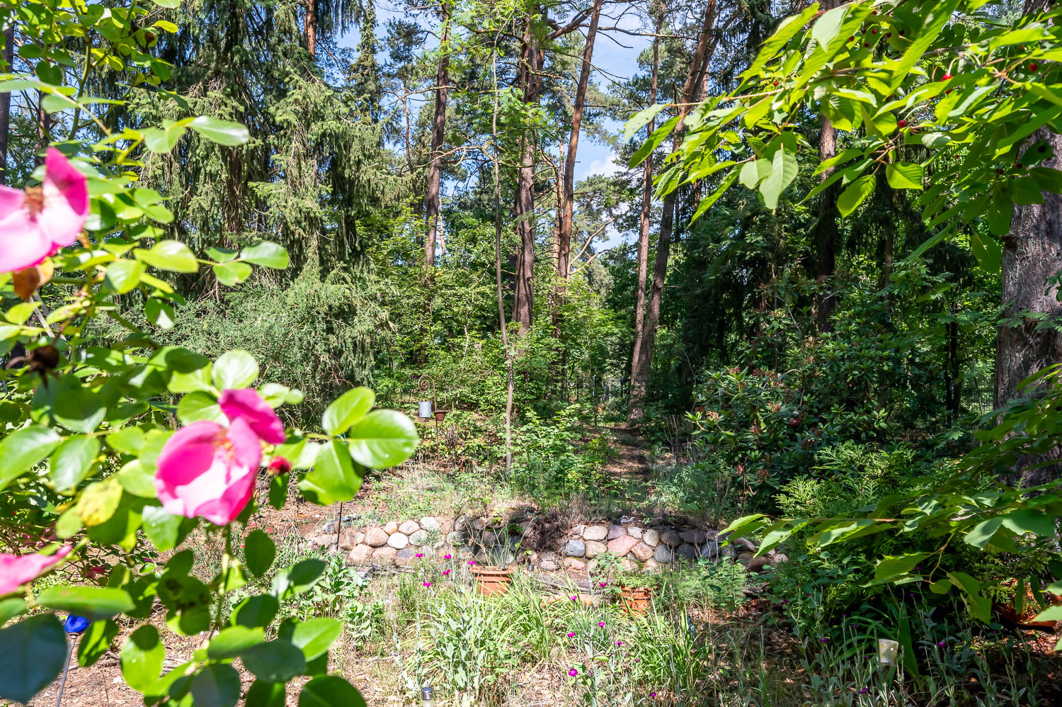 Garten (2)