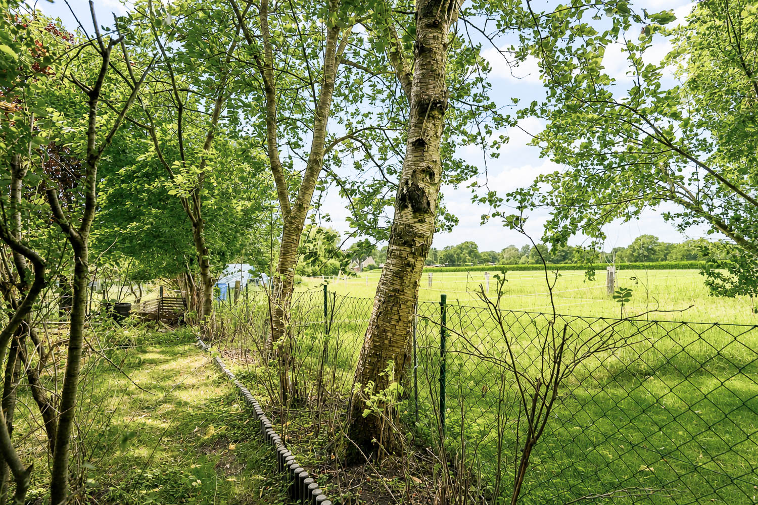 grenzt an Wiesen
